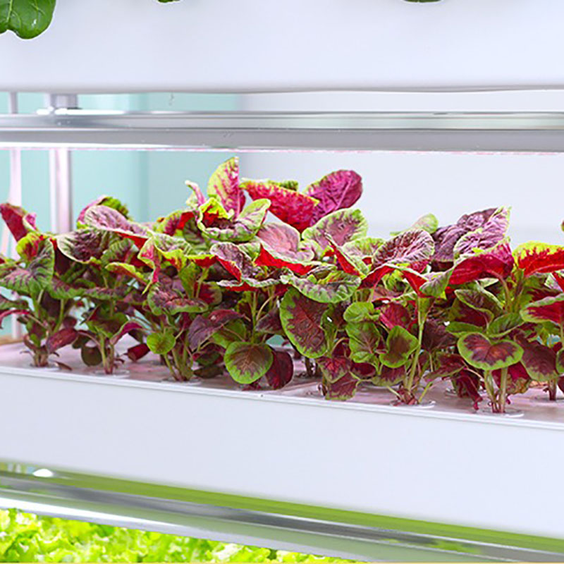 Hydroponics Growing System Ver - Hydroponic Tower Planter 评论和价格
