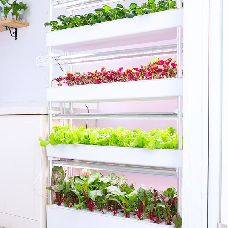 Hydroponics Growing System Ver - Hydroponic Tower Planter 评论和价格